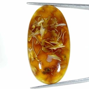 31.40Cts Natural Ammonite Oval Cabochon Loose Gemstone - Picture 1 of 5