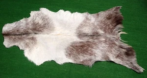 New Goat hide Rug Hair on Area Rug Size 34"x22" Animal Leather Goat Skin G-423 - Picture 1 of 3