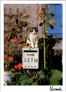 Cat On Leth Box Postcard - Picture 1 of 2