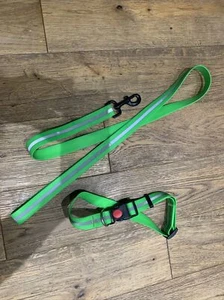 Puppy Love! TPU Neon, Reflective Green Dog Collar - 17”- 27.5” & Lead 1” X 47” - Picture 1 of 4