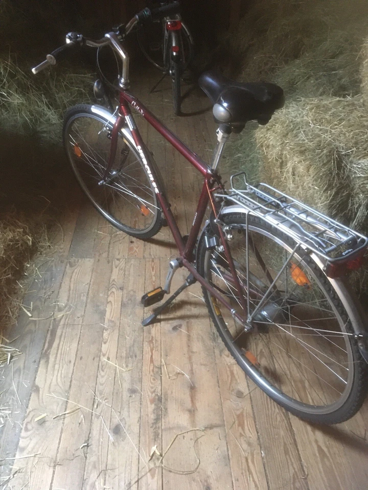 herren trekkingrad 28 zoll gebraucht - Bild 1 von 1