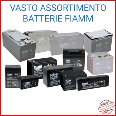 Batteria FIAMM Agm 12v 6v FG FGL FGH FGHL Piombo Ups Camper Allarme Fotovoltaico