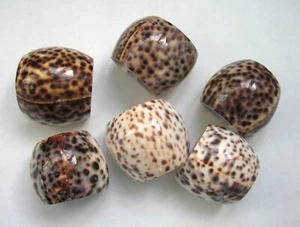 Set of 6 Tiger Cowrie Seashell Napkin Rings Holders Coastal Beach Nautical Decor - Picture 1 of 6
