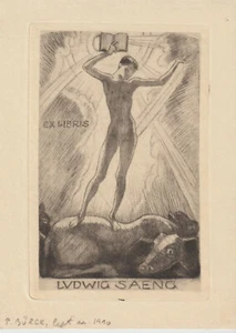 Grabado Art Deco original vintage exlibris erótico por BÜRCK PAUL / Alemania - Imagen 1 de 1
