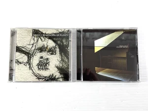 Grizzly Bear 2 CD Lot - Horn Of Plenty 2005 2x CD Set / Yellow House 2006 Indie - Picture 1 of 17