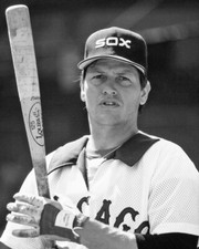 1981 Chicago White Sox CARLTON FISK 8x10 Photo Baseball Print Poster HOF 2000