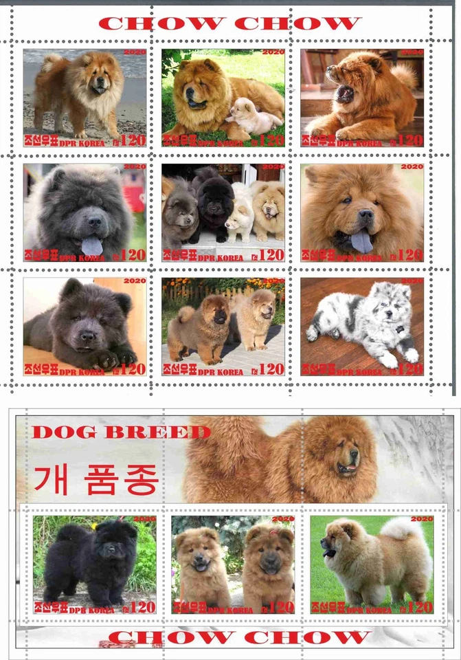 Stamp sheet+block Chow Chow 2020 Korea issue Dogs - Image 1 of 1