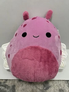 Original Squishmallows 16 Inch Shabnam The Sea Slug - Picture 1 of 3