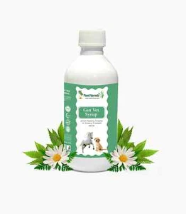 Planet Ayurveda Gut Vet Syrup - Pack of 2 (200 ML) with Free Shipping - Picture 1 of 1