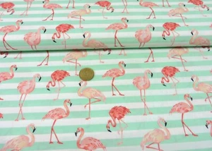 Niva Hilco weiß mint grün Baumwolle Webware Popeline Flamingos Streifen 50 cm - Bild 1 von 1
