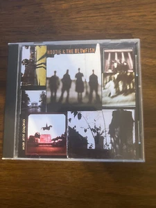 Cracked Rear View - Audio CD By Hootie & The Blowfish - VERY GOOD - Picture 1 of 3