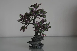 Aquarium Silk Tree 6 x 4 x 19 cms On Rock Purple green Leaves - Picture 1 of 6