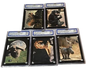LOT OF 5 ISA 10 GRADED 1993 SAN DIEGO ZOO Animals Wild Trading Cardz Lion Rhino+ - Picture 1 of 7