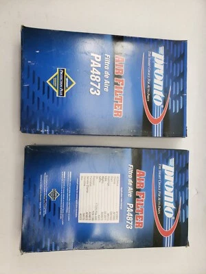LOTE DE 2 filtros de aire Pronto PA4873 Foto 1 de 3