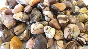 3X Zebra Jasper Tumbled Stone 20-25mm Reiki Healing Crystal Protection Dreamwork - Picture 1 of 2