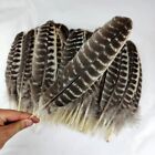 1000 Pcs 28-32CM/11-13 Inches Super Quality Long And Wide Turkey Wings Feathers 