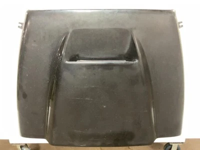 Jeep TJ Wrangler capó de fibra de vidrio con cuchara *pickup local* 1997-2006 008316 Foto 1 de 4