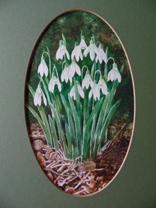 Snowdrops Beneath a Tree. Attr Ben Perkins Original Vintage oval Watercolour - Picture 1 of 6