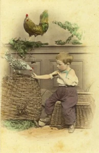 Common Breakfast Scene de Genre Young Boy CDV photo Fechner hand colored 1870 - Foto 1 di 3