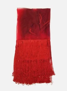 NWT $1595 Valentino L'Amour Women's Red Heart Fringe Mesh Italy Shawl Wrap Scarf - Picture 1 of 3