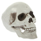  Ozdoba czaszki czaszki głowa ozdoba halloween krajobraz dekoracja czaszka