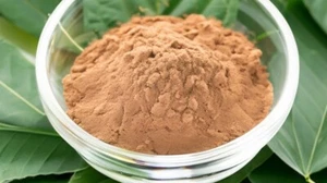 Mucuna Puriens Extract 8 Oz - Picture 1 of 1