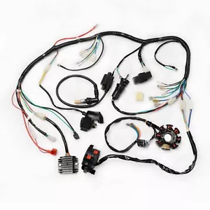 COMPLETE ELECTRICS ATV QUAD 200cc 250cc CDI Wire Harness Zongshen Lifan 2 Holes - Picture 1 of 10
