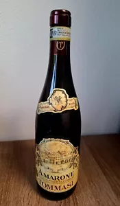 Rot Wein 2010 Tommasi Amarone della Valpolicella Classico 0,75ml vino rosso - Bild 1 von 5