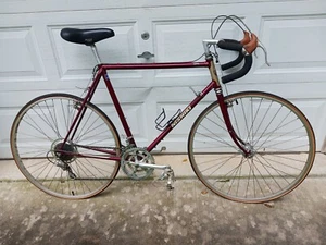 Vintage Nishiki Bicycle, 1984, All original eqpt, Less than 500 miles on bike - Picture 1 of 10