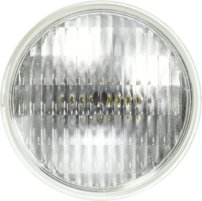 Eiko 36PAR36/CAP/WFL32 12V 36W PAR36 MP Slip-On and Screw Term C-6 Filament - Image 1 of 4