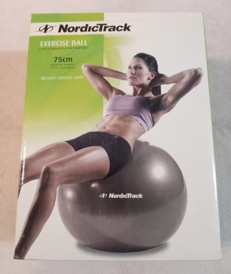 Balón de ejercicio Nordic Track plateada 75 cm con bomba de pie y tabla de instrucciones Nuevo en caja Foto 1 de 4