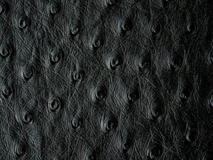 Piel de cuero de avestruz, color negro SF - Imagen 1 de 3