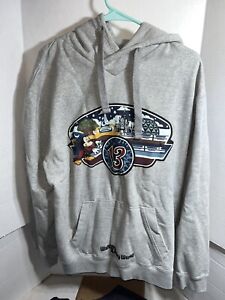 Walt Disney World Parks 2013 Mickey Sweater Pullover Hoodie Gray Embroidered XL