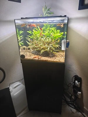 Аквариум и подставка для акватопа 20 галлонов - Изображение 1 из 4