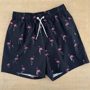 Hollister Swim Trunks Mens Size XS Flamingo Novelty Print Shorts Black Pink Line - Picture 1 of 8