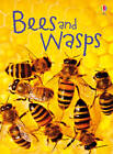 Maclaine, James : Bees and Wasps (Beginners) Incredible Value and Free Shipping!