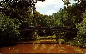 Cartolina Scenic Foot Bridge di Horseshoe Falls Starved Rock State Park Illinois - Foto 1 di 2