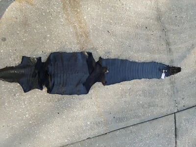 Wild Alligator gator Hide Skin Pelt swamp leather Boots shoes Vest Trophy DC12 - Image 1 of 4