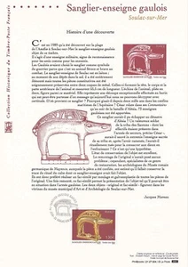 Document Philatélique 1er Jour : 04 2007 - Sanglier Enseigne Gaulois Soulac s/m - Imagen 1 de 1