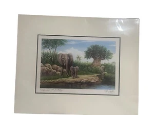 Disney Animal Kingdom Tufani’s 1st Birthday 2004 Larry Dotson Signed Print 7x5 - Picture 1 of 6