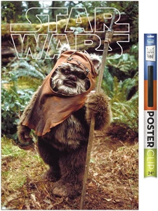 Trends International Star Wars: Return of the Jedi - Wicket W. Warrick Wall Pos - Picture 1 of 12
