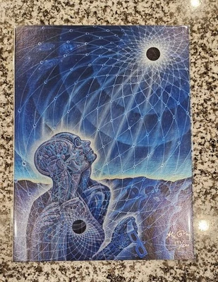 Алекс серый затмение искусства печати подписанный 171/200 металлический перламутровый с сертификатом подлинности инструмент - Изображение 1 из 4