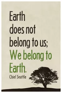 Earth Does Not Belong To Us. We Belong To Earth Chief Seattle Poster 12x18 - Picture 1 of 3