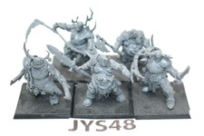 Warhammer Warriors of Chaos Blightkings - JYS48