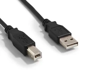 Printer Cable USB-USB-B (5 Feet) - Picture 1 of 1