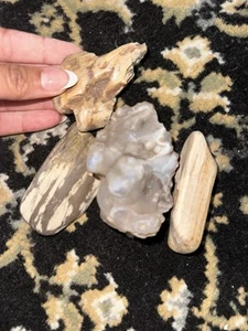 Versteinertes Holz und Achat  - Bild 1 von 2