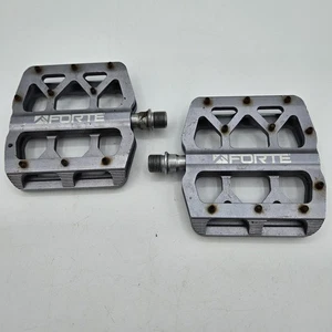 Gray - Forte Flat MTB Pedals, 9/16", Aluminum, Pinned, Used Working Platform - Picture 1 of 7