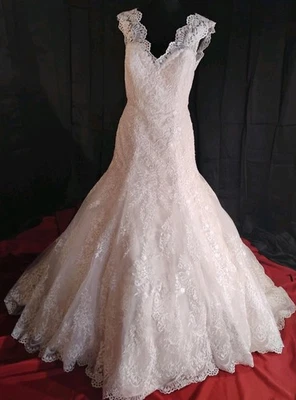 Vestido de novia Moonlight encaje marfil talla 14 tren V espalda V delantero Foto 1 de 4