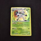 Pokemon Tcg   Chesnaught   14 146   Xy   Cosmos Holo   Rare   Hp