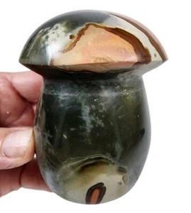 Polychrome Jasper Polished Mushroom Madagascar 338.2 grams. - Picture 1 of 3